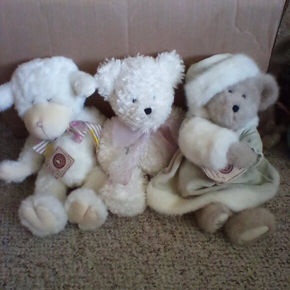 Boyd's bear - Picture 1 of 2